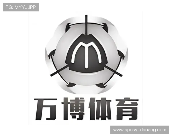 万搏体育官网登录网页版多样化登录方式满足不同用户的使用需求