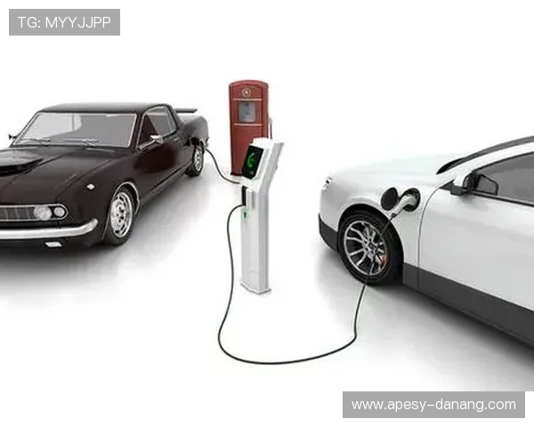 如何选择安全可靠的UED体育在线观看平台，保障您的观看体验与个人信息安全